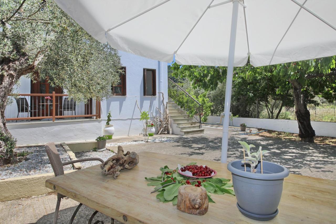Skopelos Evergreen Apartments Stafylos Exterior foto